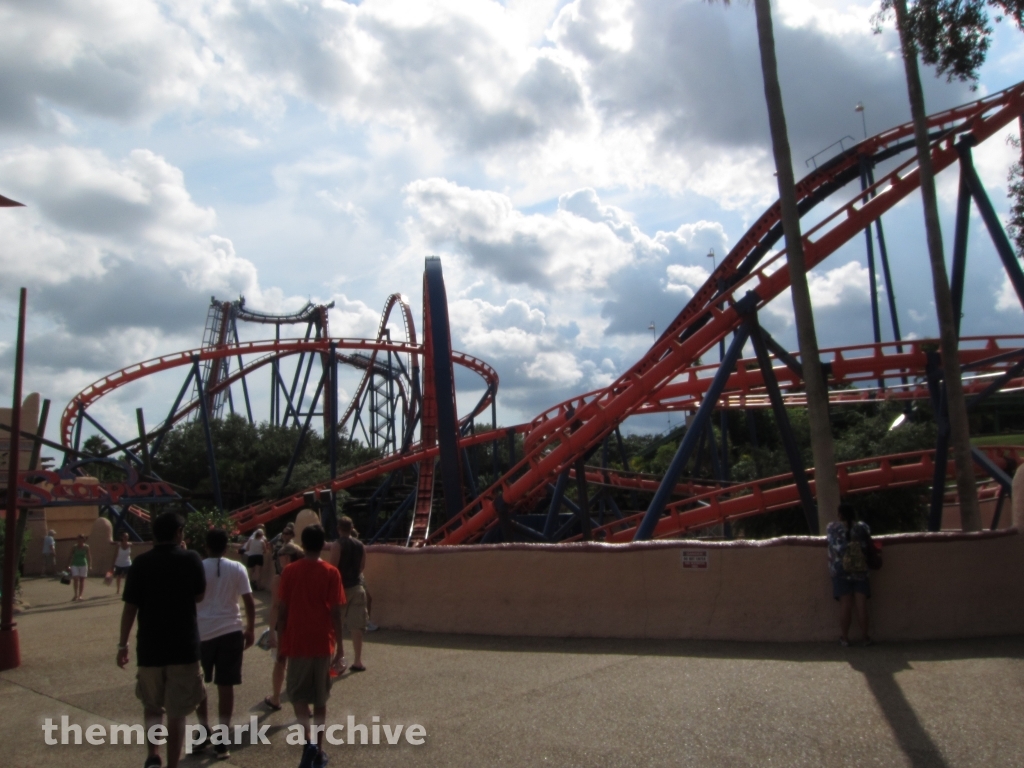 Scorpion at Busch Gardens Tampa