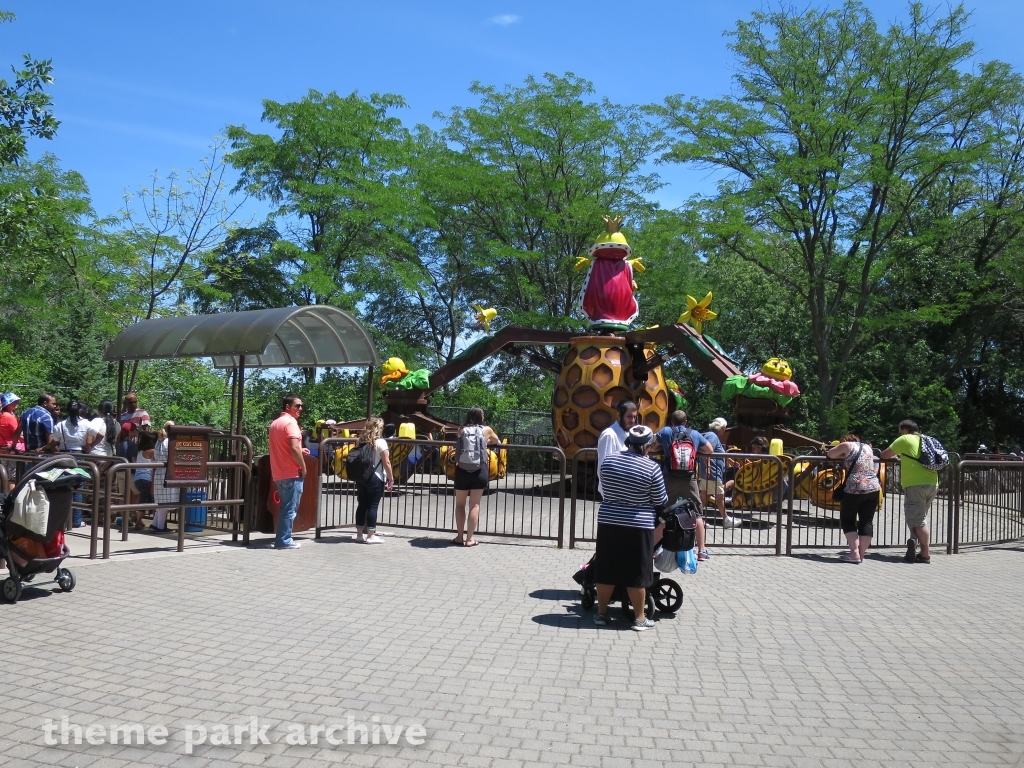 Bumble Bee at Marineland