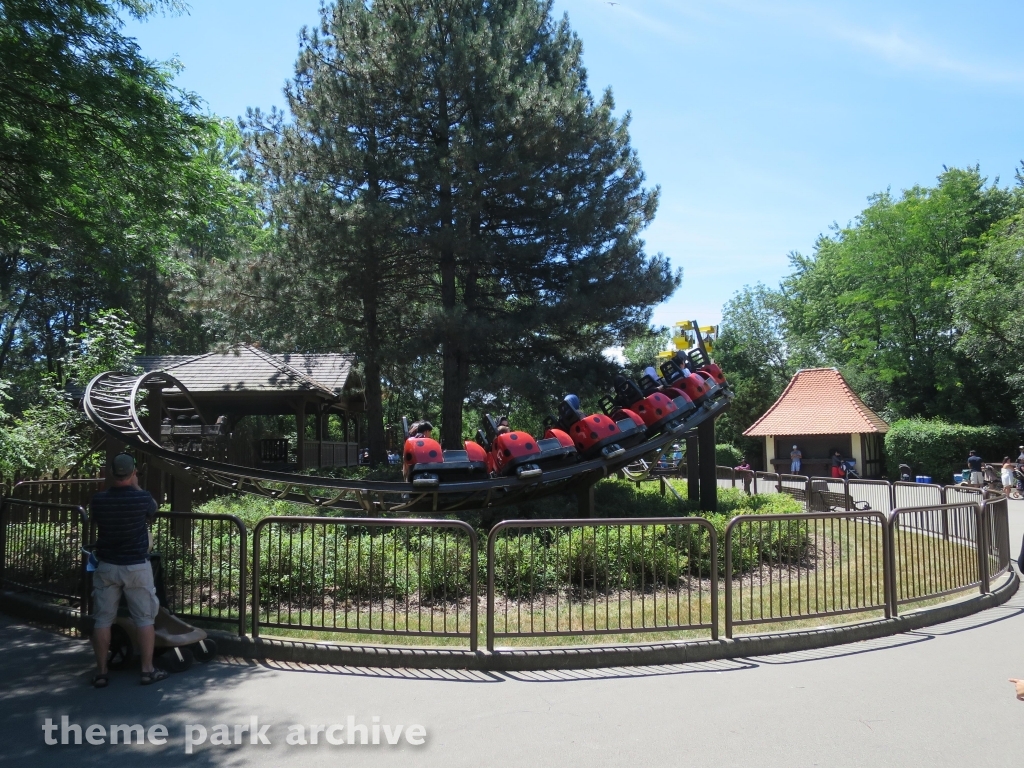 Lady Bug Coaster at Marineland