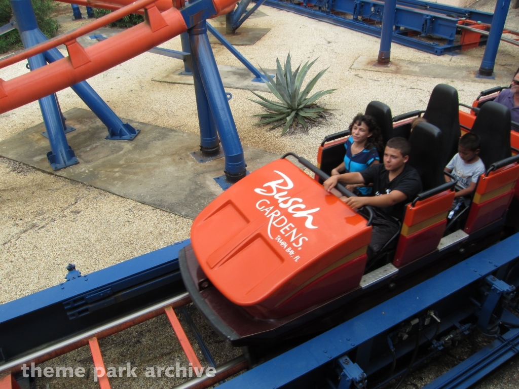 Scorpion at Busch Gardens Tampa
