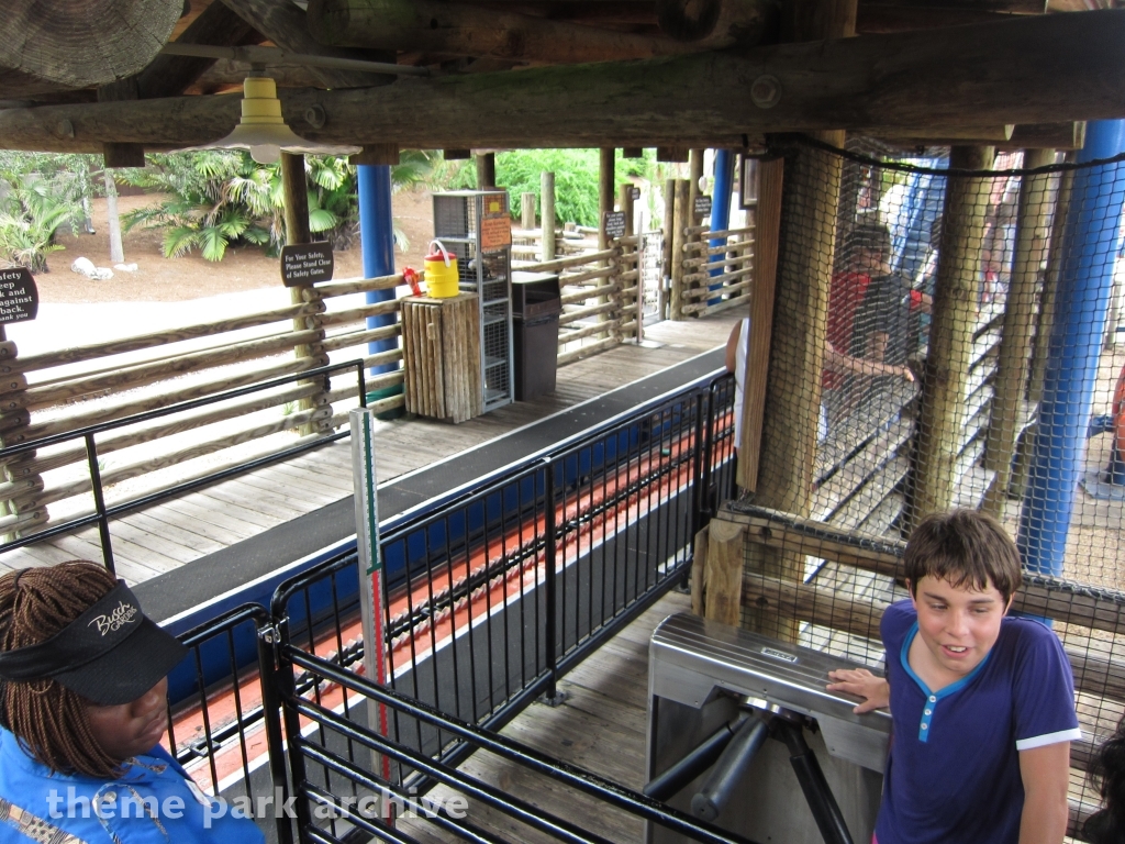 Scorpion at Busch Gardens Tampa