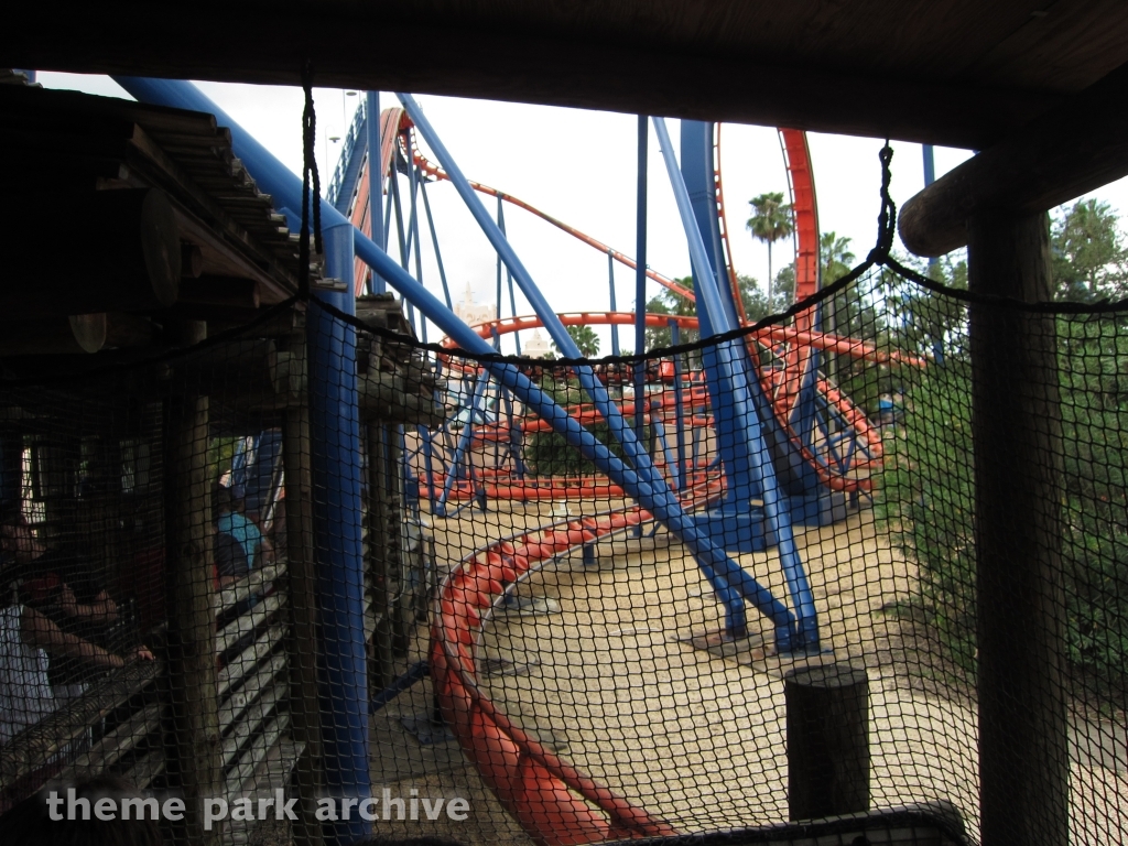 Scorpion at Busch Gardens Tampa