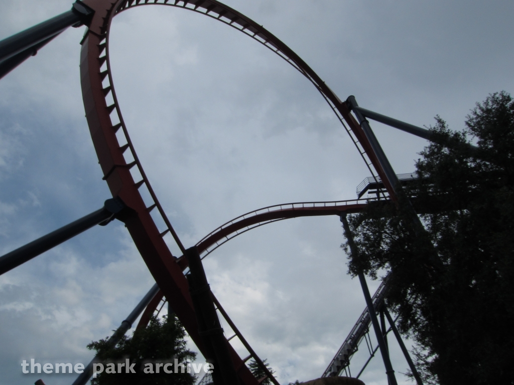 Sheikra at Busch Gardens Tampa
