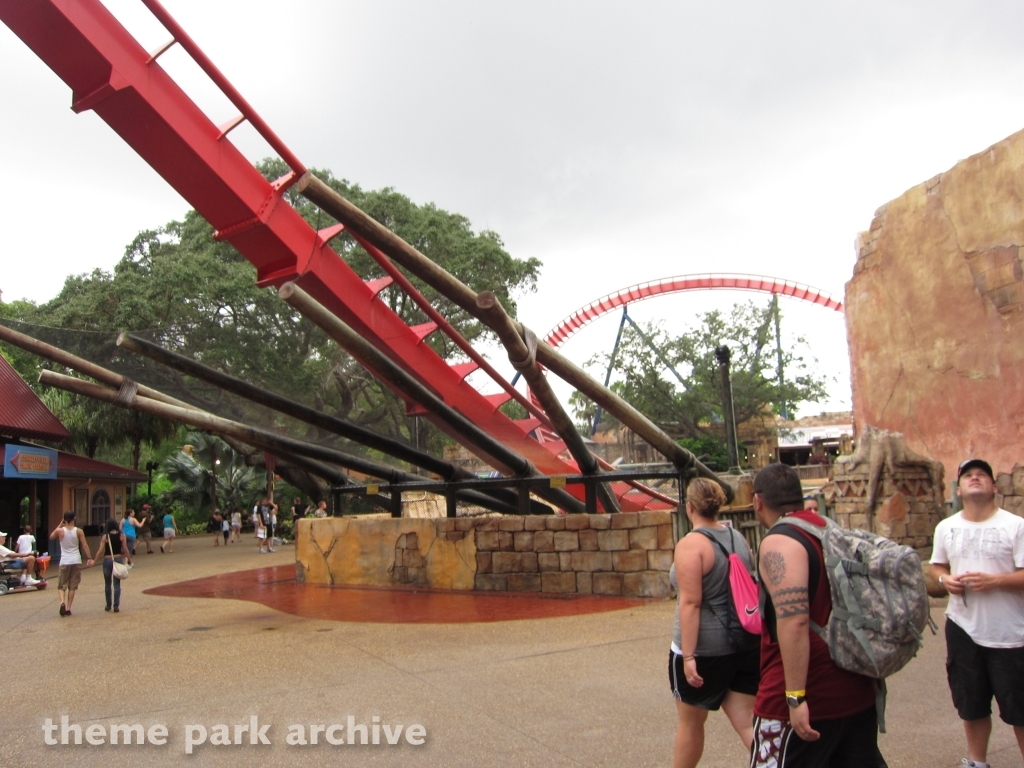 Sheikra at Busch Gardens Tampa