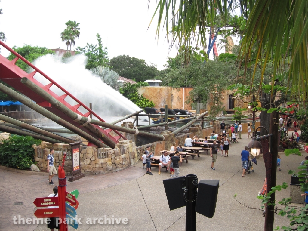 Sheikra at Busch Gardens Tampa