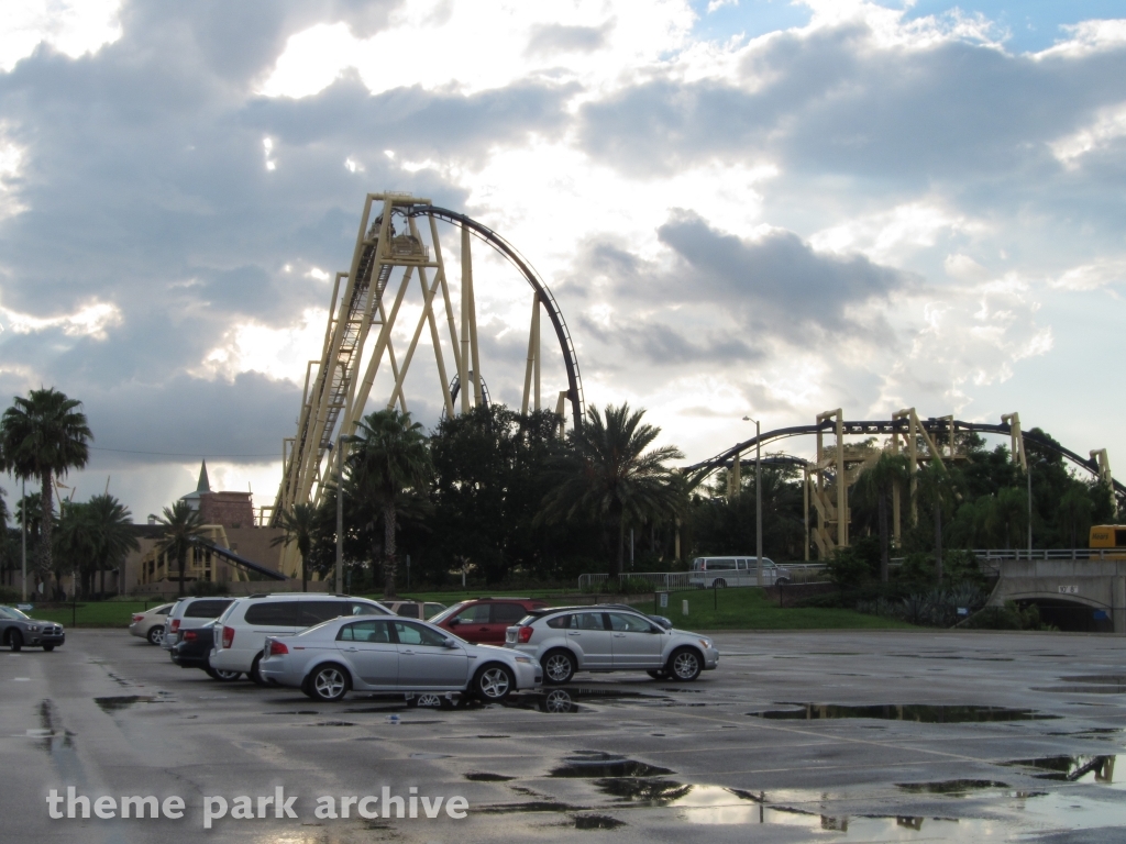 Montu at Busch Gardens Tampa