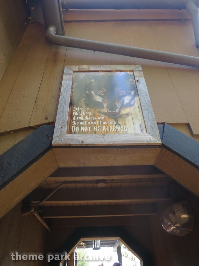 Timber Wolf at Worlds of Fun