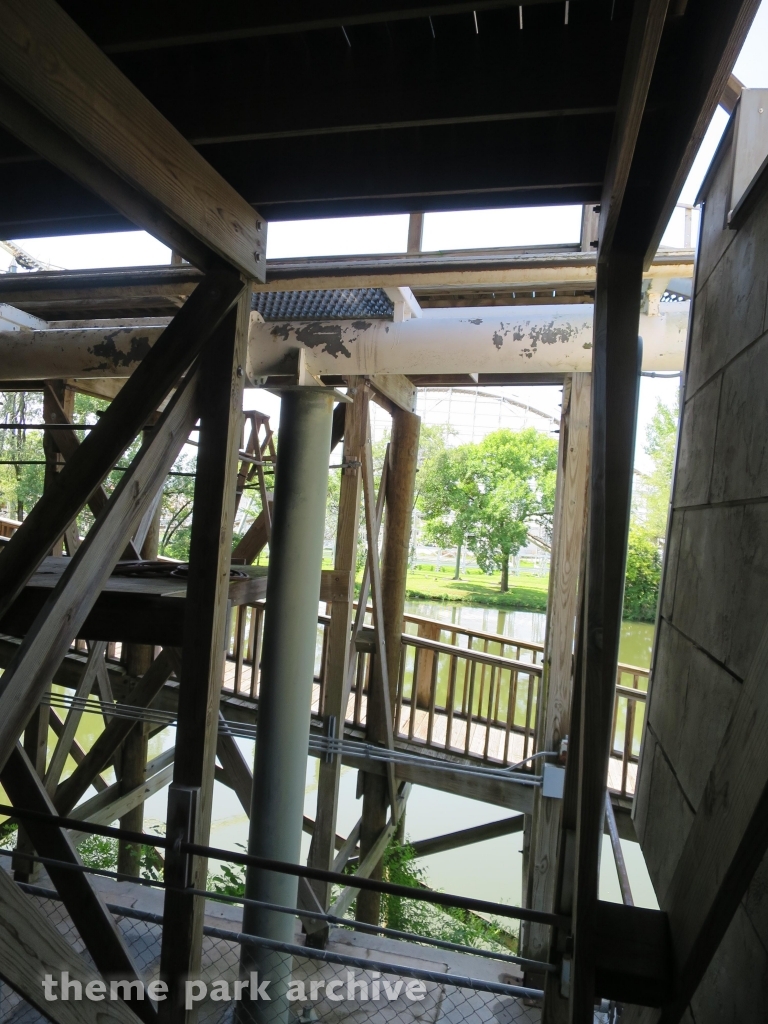 Dragon at Adventureland