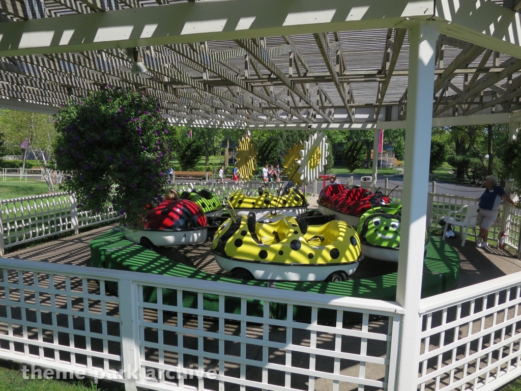 Lady Bugs at Adventureland