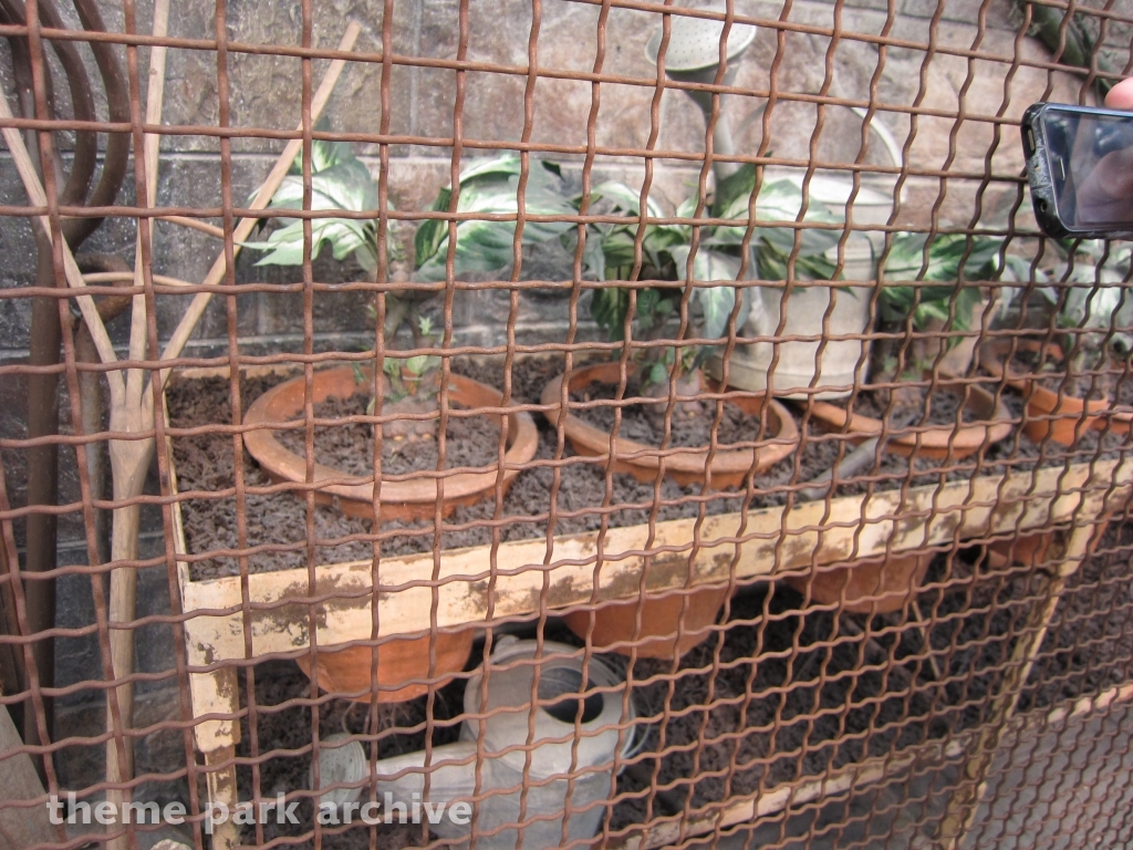 Harry Potter and the Forbidden Journey at Universal City Walk Orlando