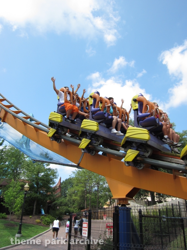 Dominator at Kings Dominion