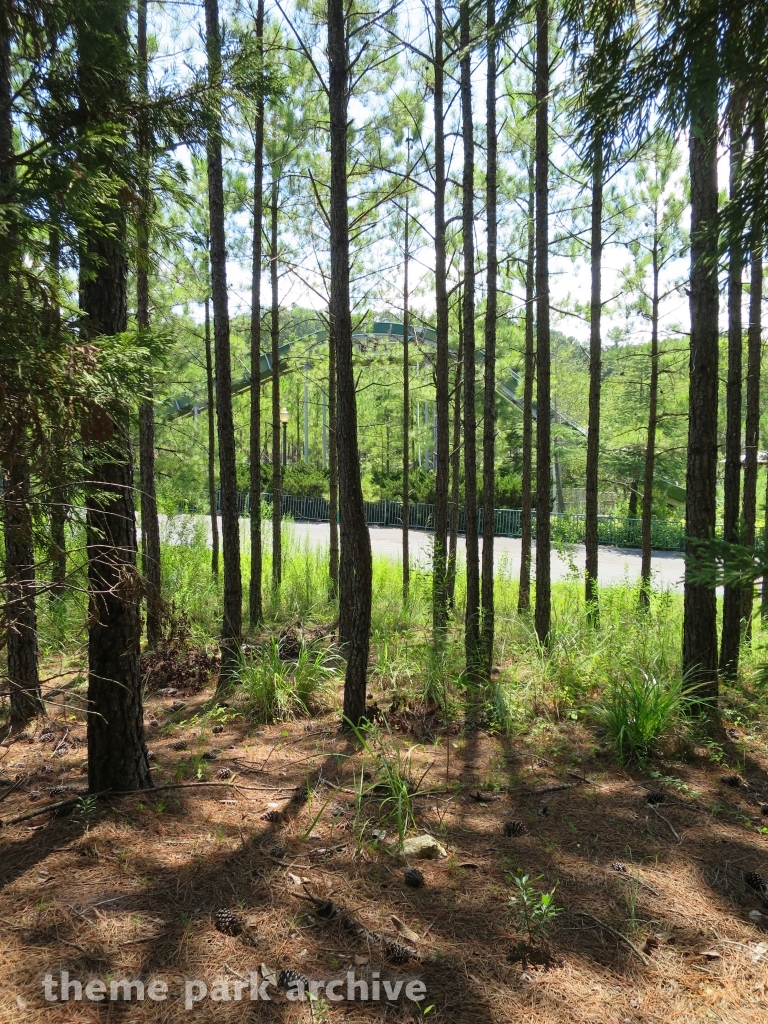 Misc at Alabama Adventure & Splash Adventure