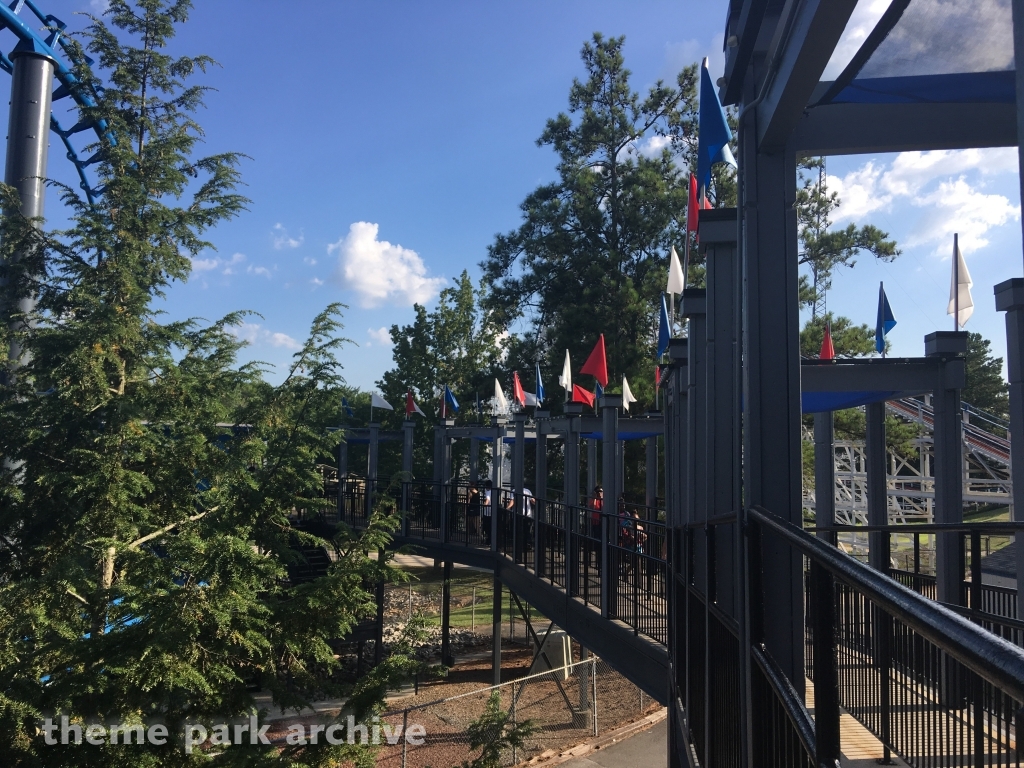 Blue Hawk at Six Flags Over Georgia