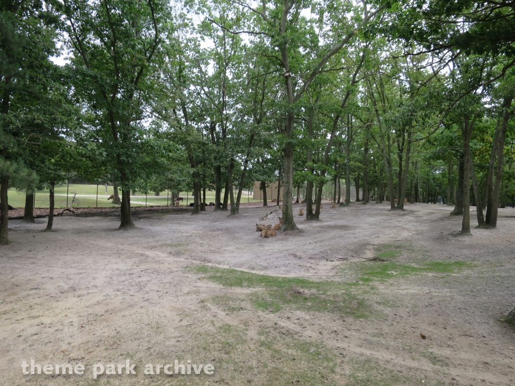 Safari Off Road Adventure at Six Flags Great Adventure