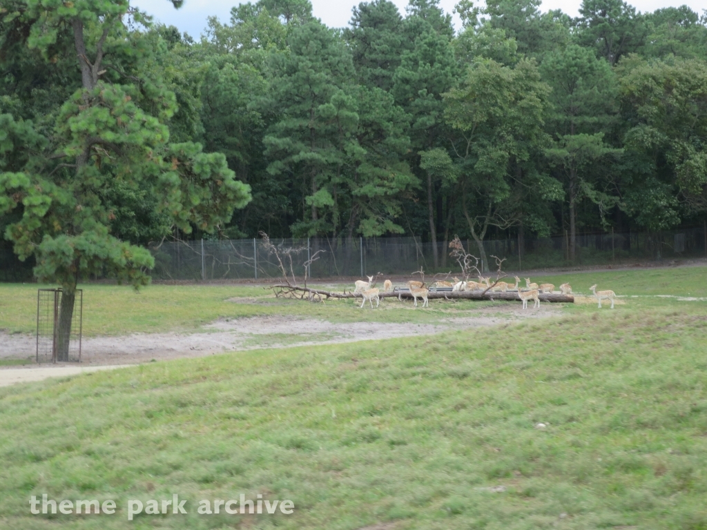 Safari Off Road Adventure at Six Flags Great Adventure