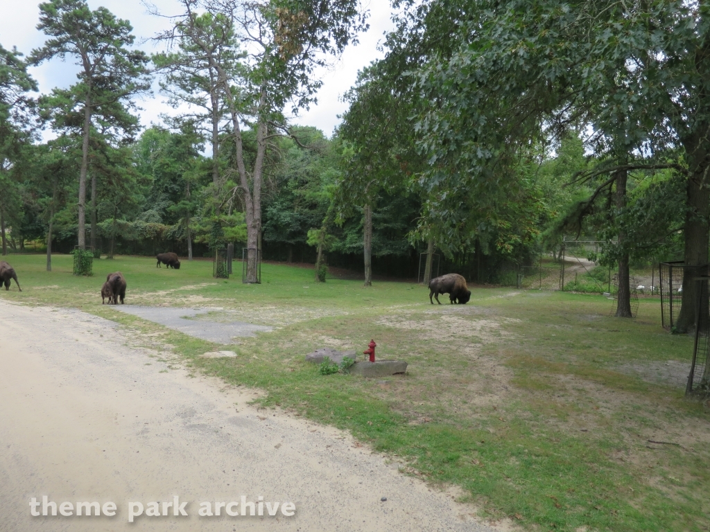 Safari Off Road Adventure at Six Flags Great Adventure