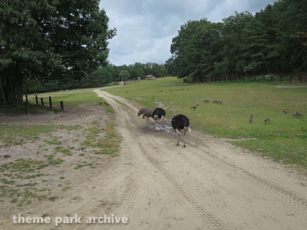 Safari Off Road Adventure at Six Flags Great Adventure