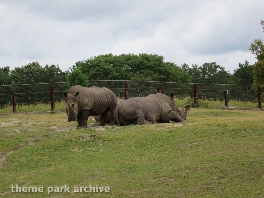 Safari Off Road Adventure at Six Flags Great Adventure