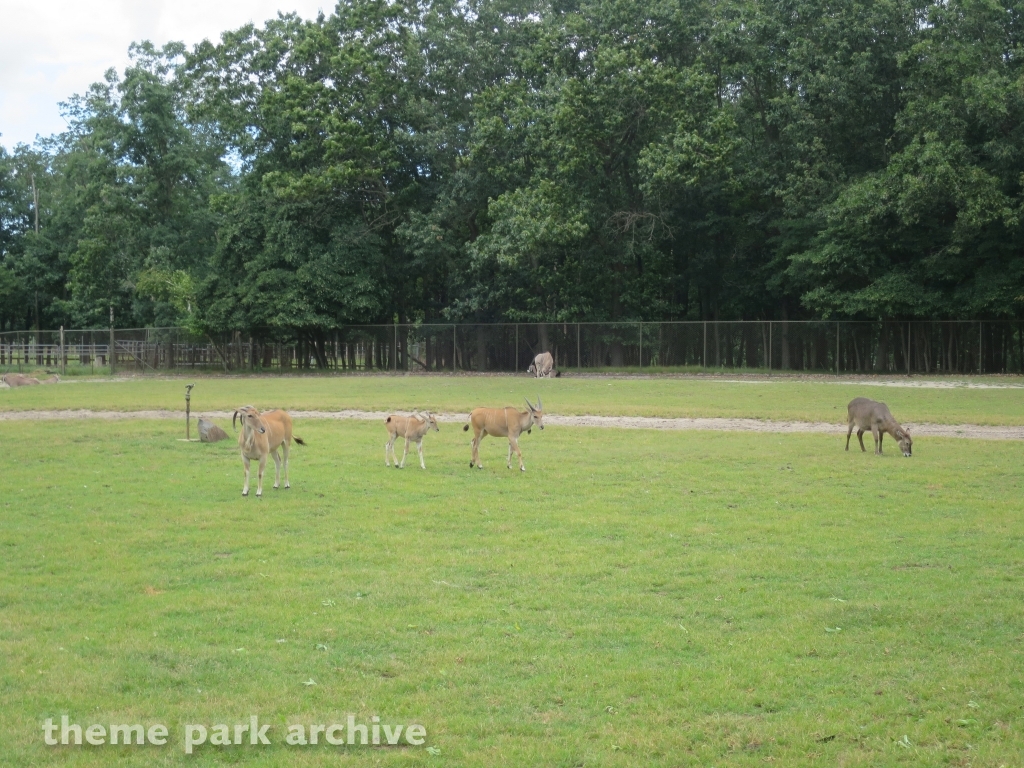 Safari Off Road Adventure at Six Flags Great Adventure
