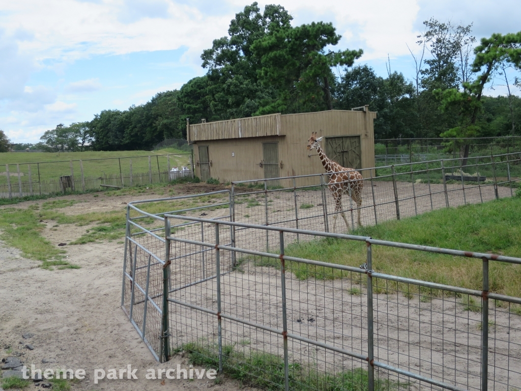 Safari Off Road Adventure at Six Flags Great Adventure
