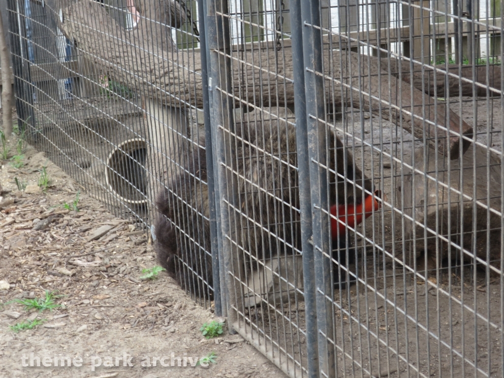 Camp Aventura at Six Flags Great Adventure