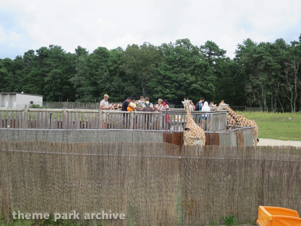 Camp Aventura at Six Flags Great Adventure