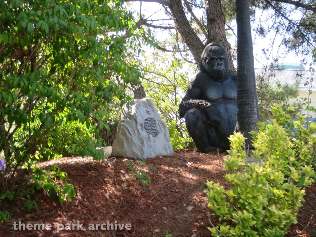 Misc at Adventureland NY