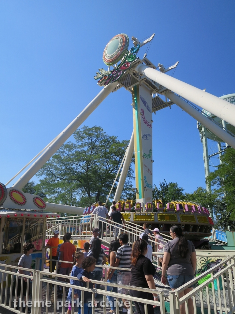 Frisbee at Adventureland NY
