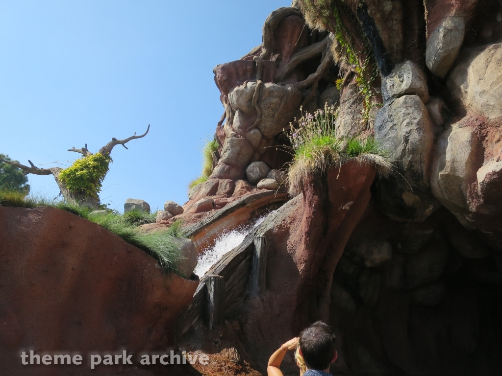 Splash Mountain at Downtown Disney Anaheim