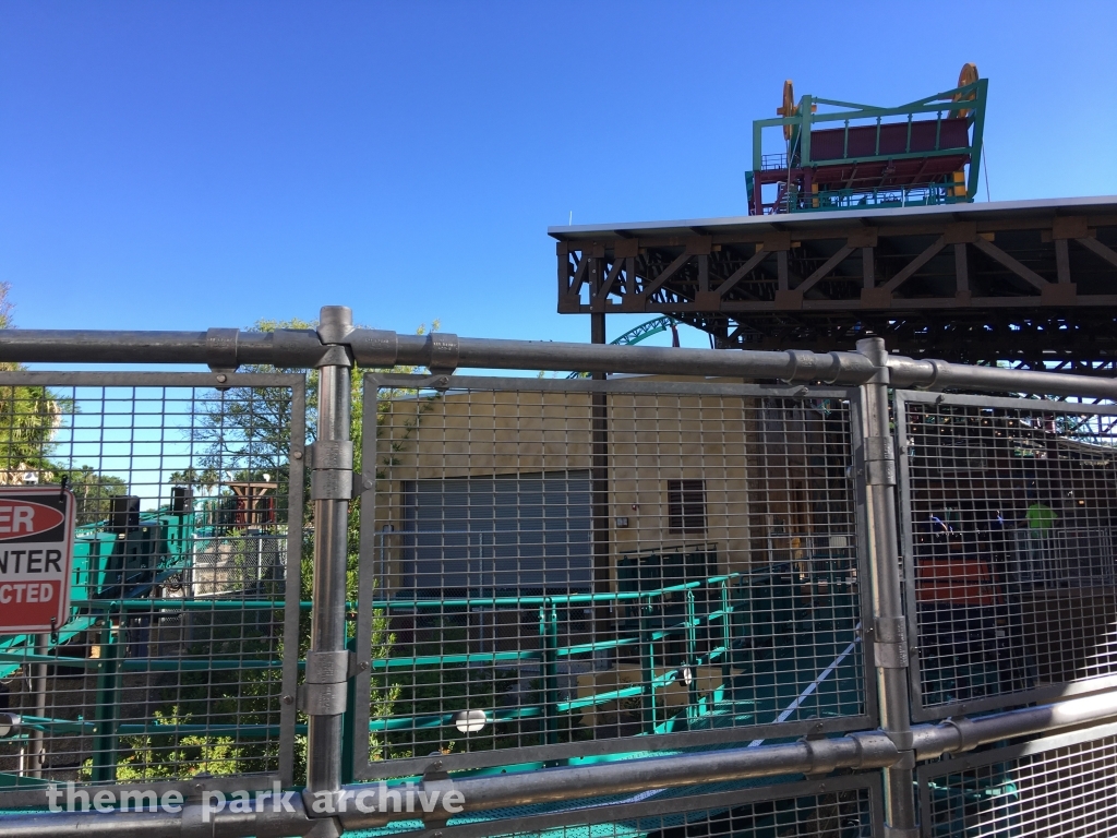 Cobra's Curse at Busch Gardens Tampa