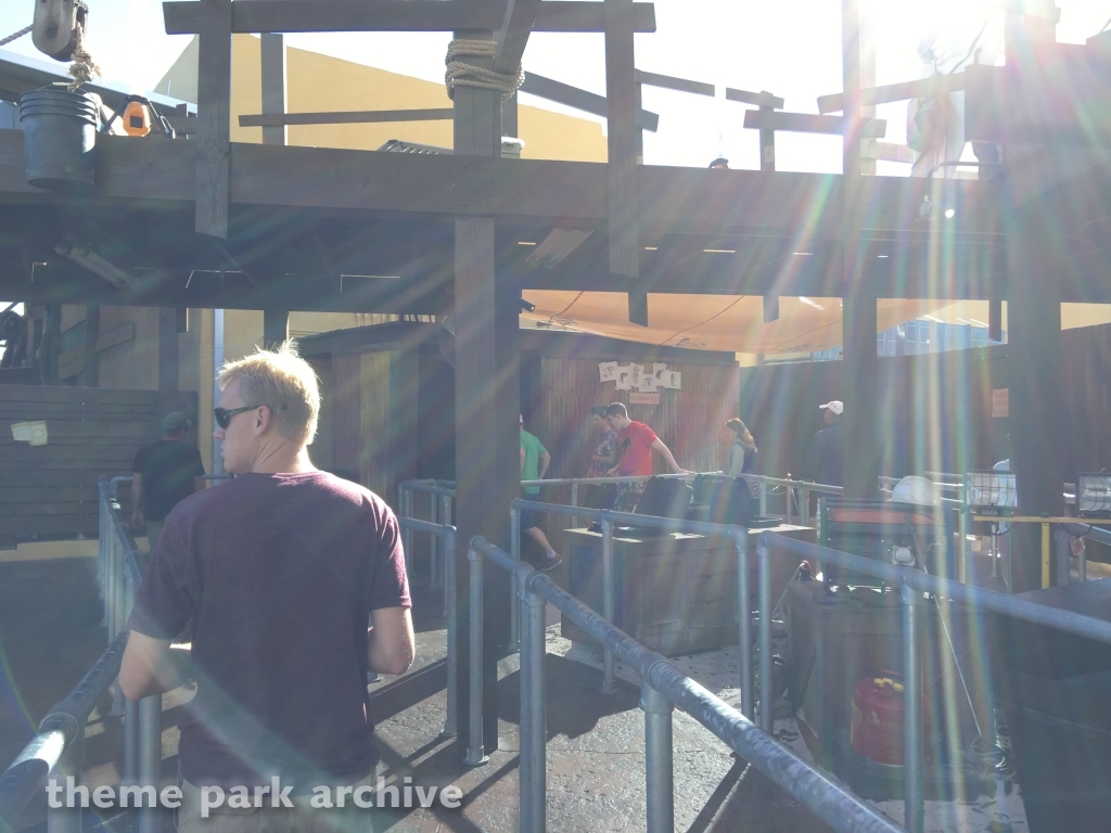 Cobra's Curse at Busch Gardens Tampa