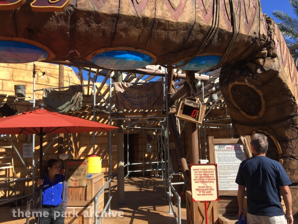 Cobra's Curse at Busch Gardens Tampa