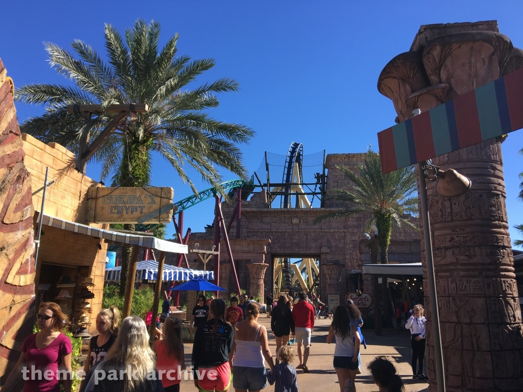 Cobra's Curse at Busch Gardens Tampa