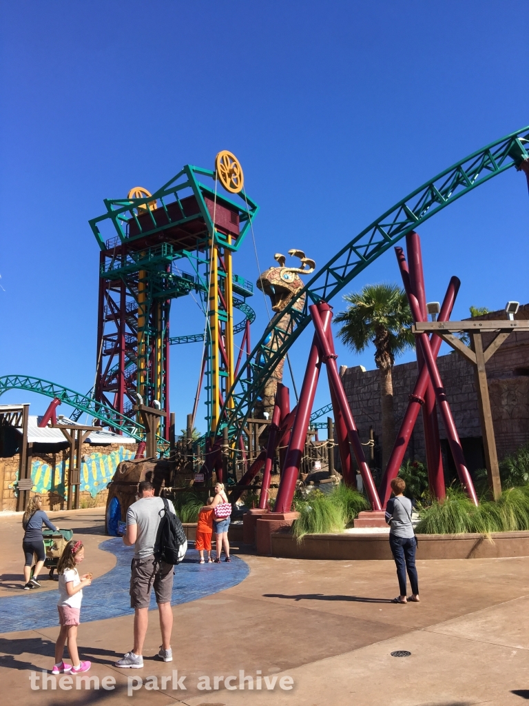 Cobra's Curse at Busch Gardens Tampa