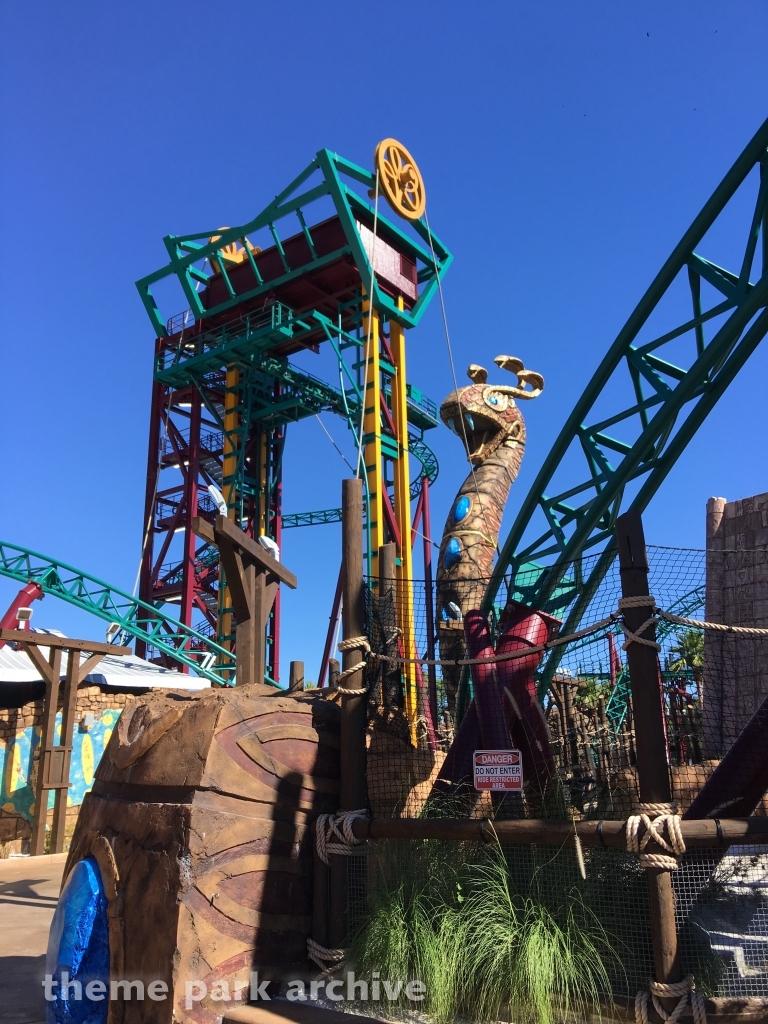 Cobra's Curse at Busch Gardens Tampa