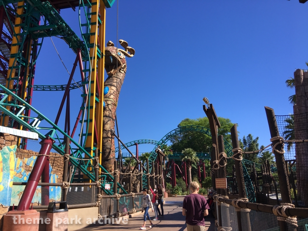 Cobra's Curse at Busch Gardens Tampa