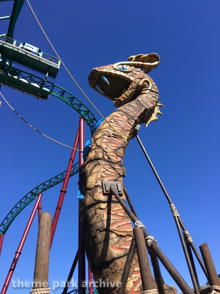 Cobra's Curse at Busch Gardens Tampa