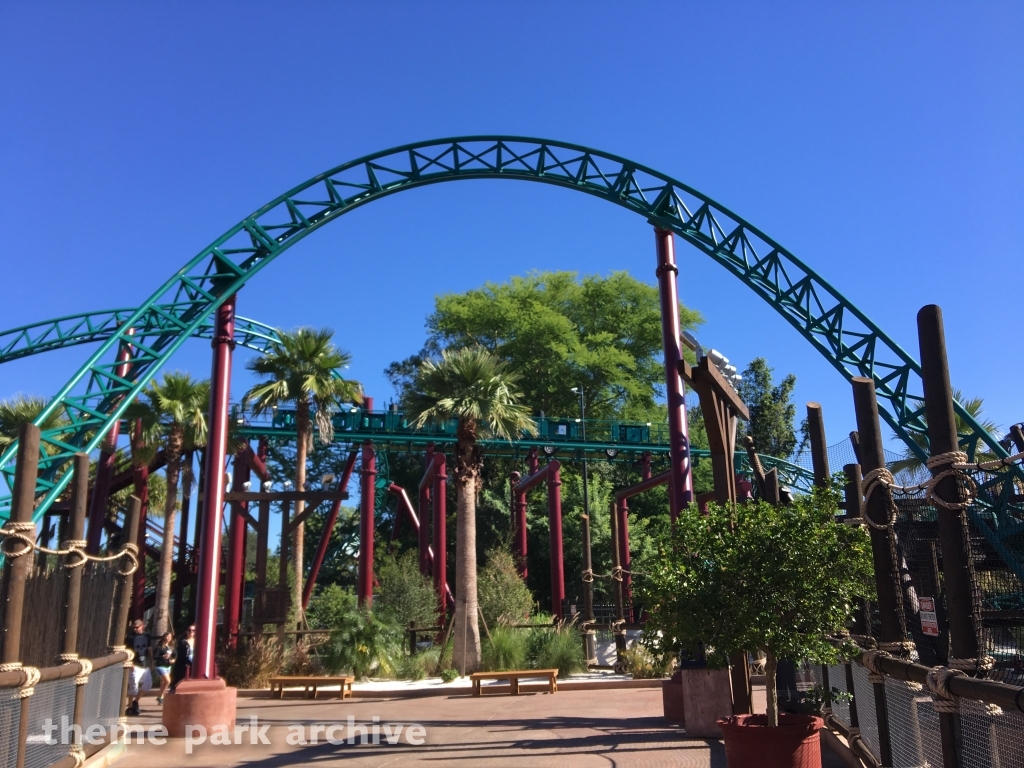 Cobra's Curse at Busch Gardens Tampa
