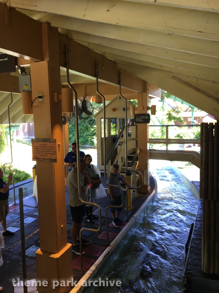 Stanley Falls Flume at Busch Gardens Tampa