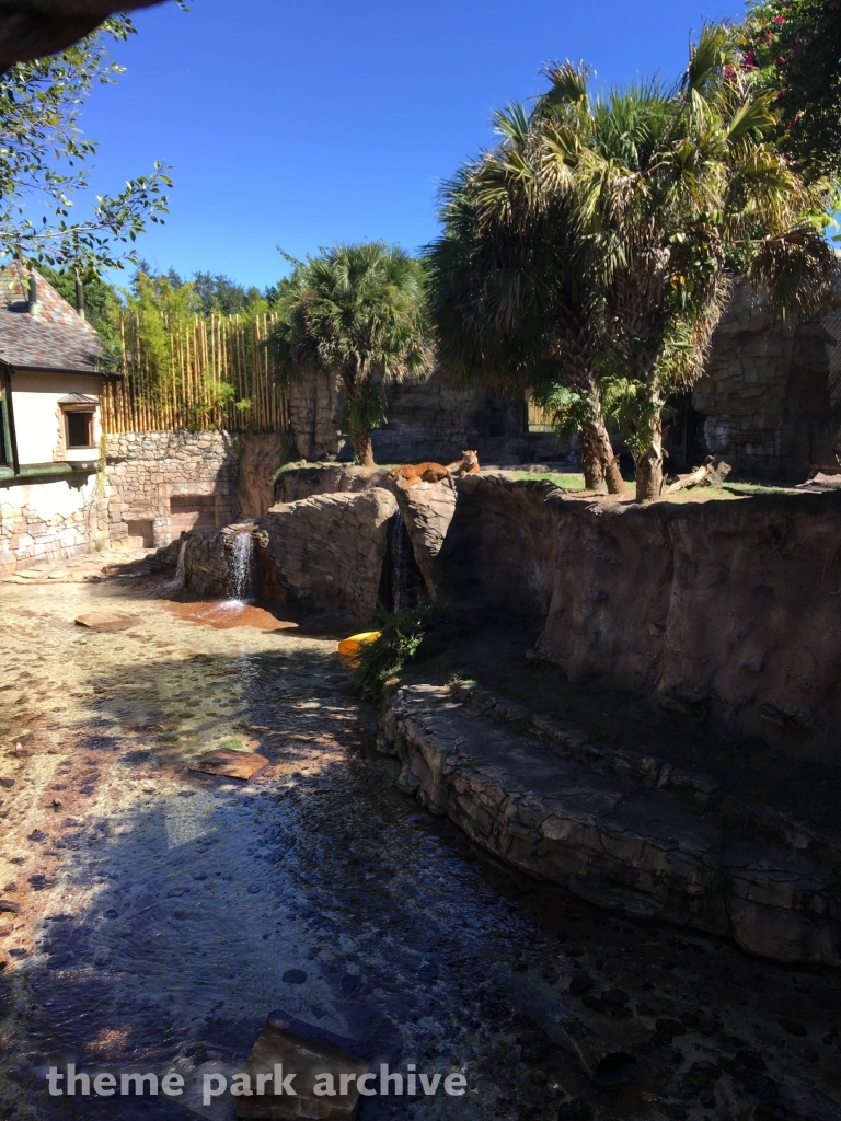 Edge of Africa at Busch Gardens Tampa