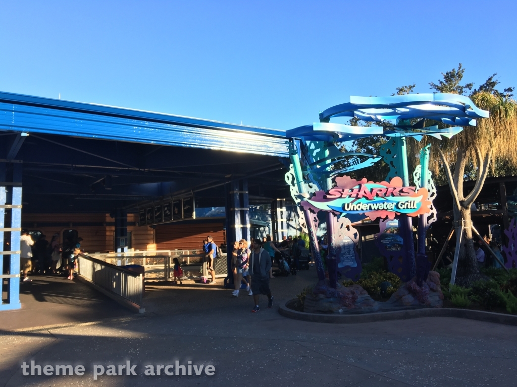 Shark Encounter at SeaWorld Orlando