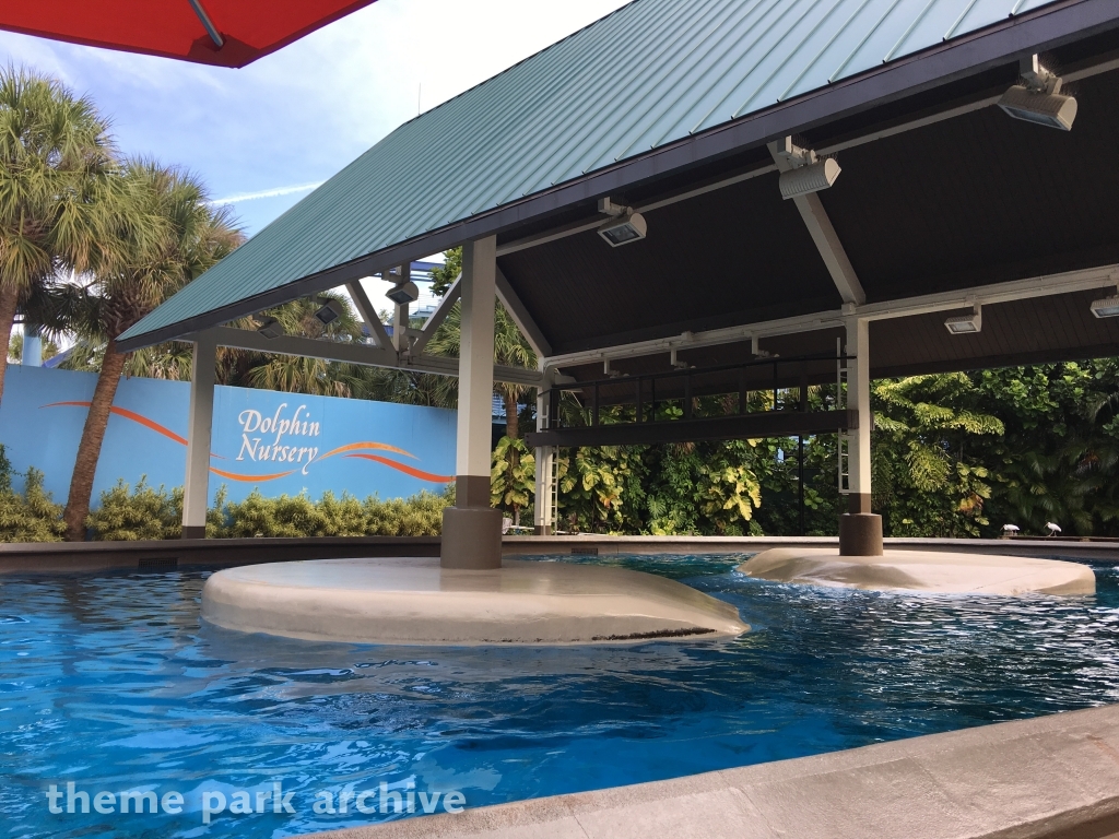 Dolphin Nursery at SeaWorld Orlando
