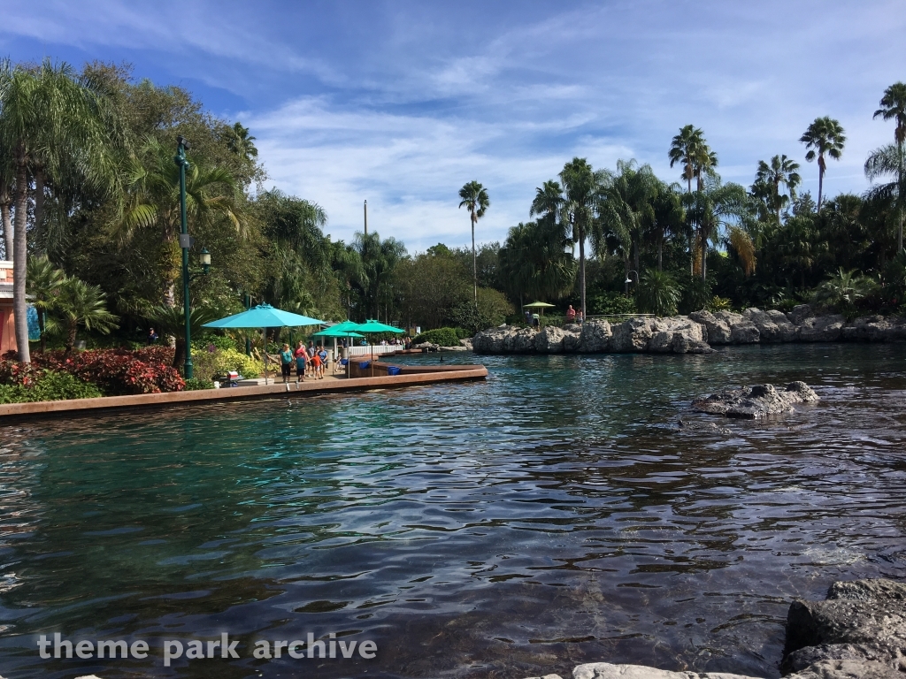 Dolphin Nursery at SeaWorld Orlando