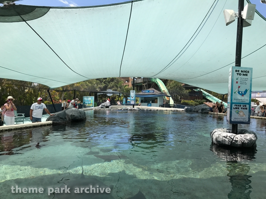Ray Reef at Sea World Gold Coast