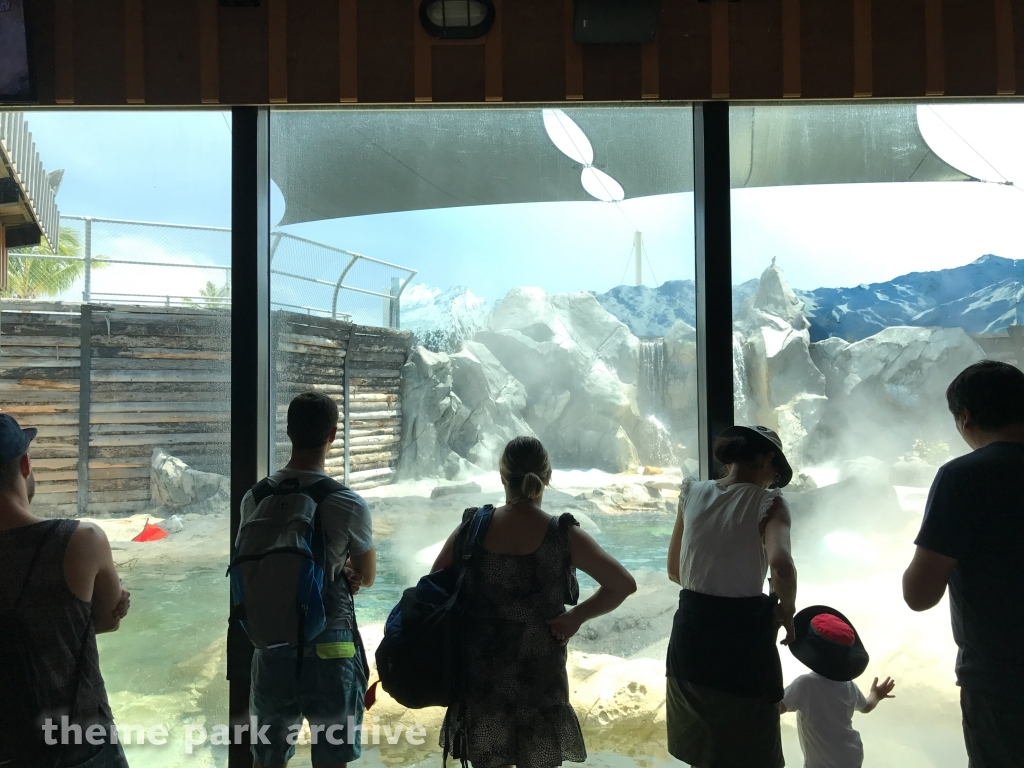 Polar Bear Shores at Sea World Gold Coast