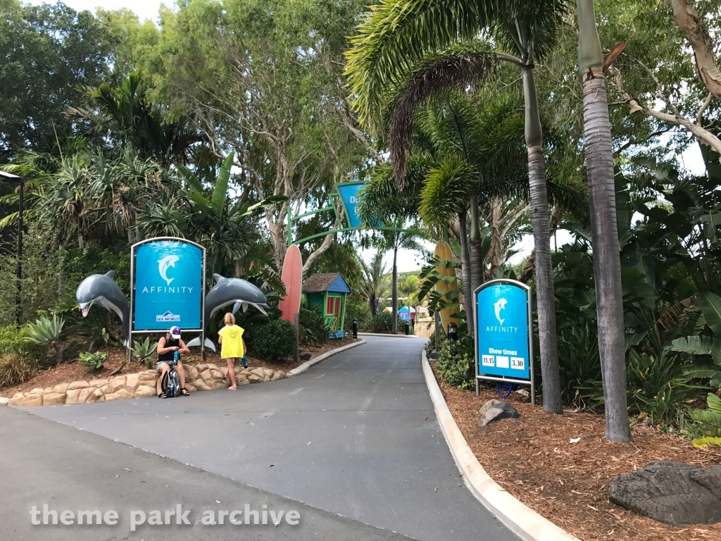 Dolphin Presentation at Sea World Gold Coast