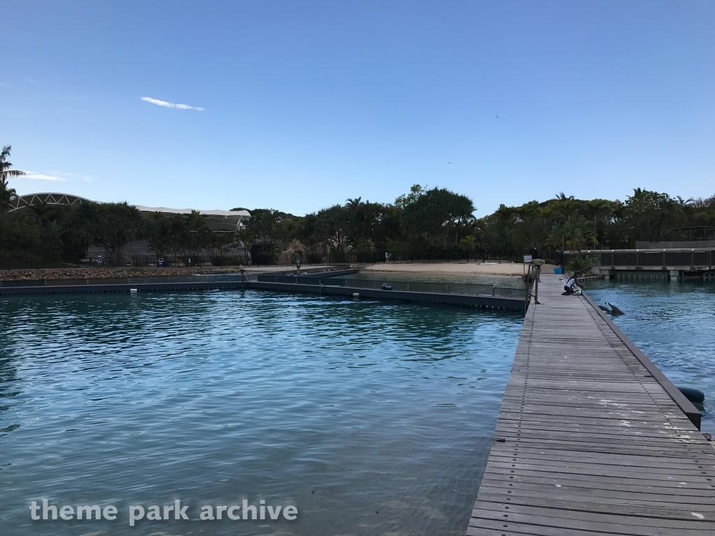 Seal Harbour at Sea World Gold Coast