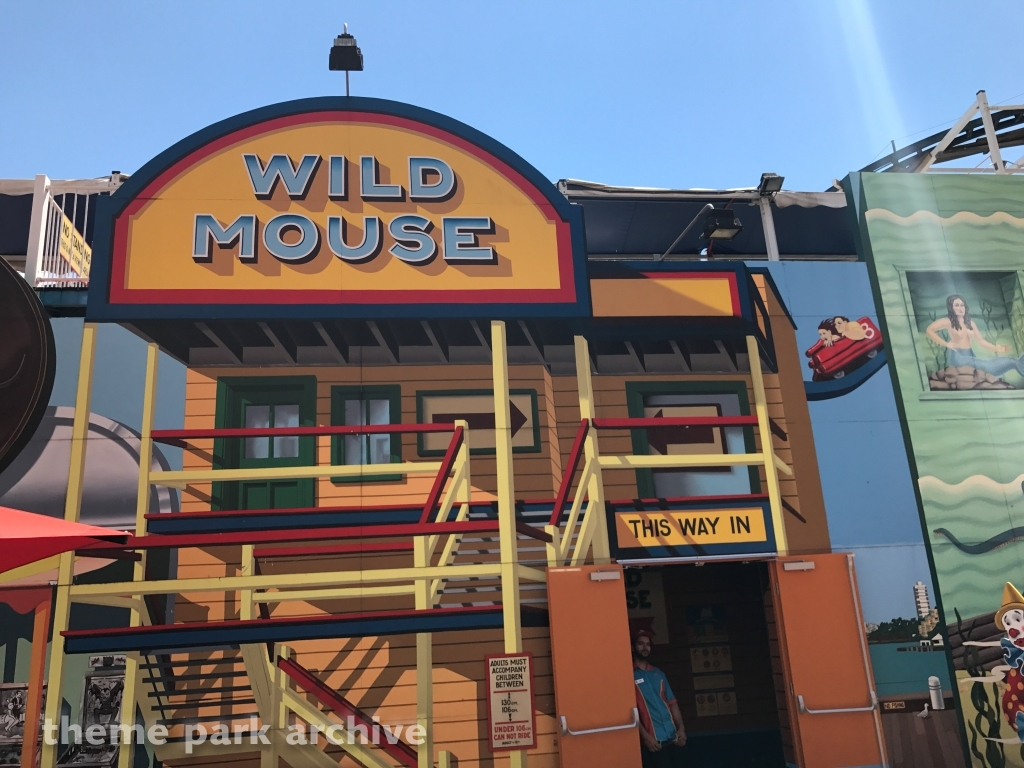 Wild Mouse at Luna Park