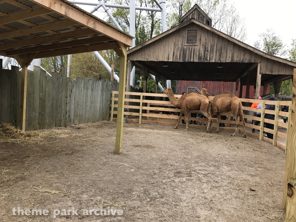 The Barnyard at Cedar Point