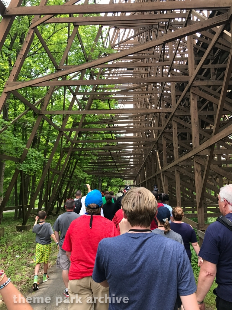 The Beast at Kings Island